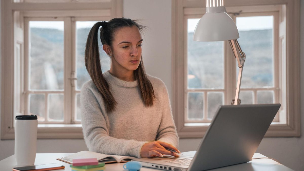 Education Models Supporting Freelance Career Paths